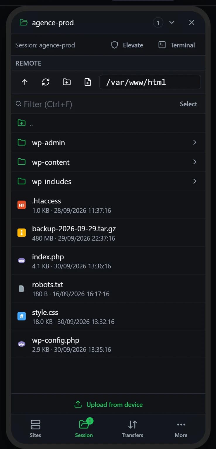 Remote file explorer on iPhone
